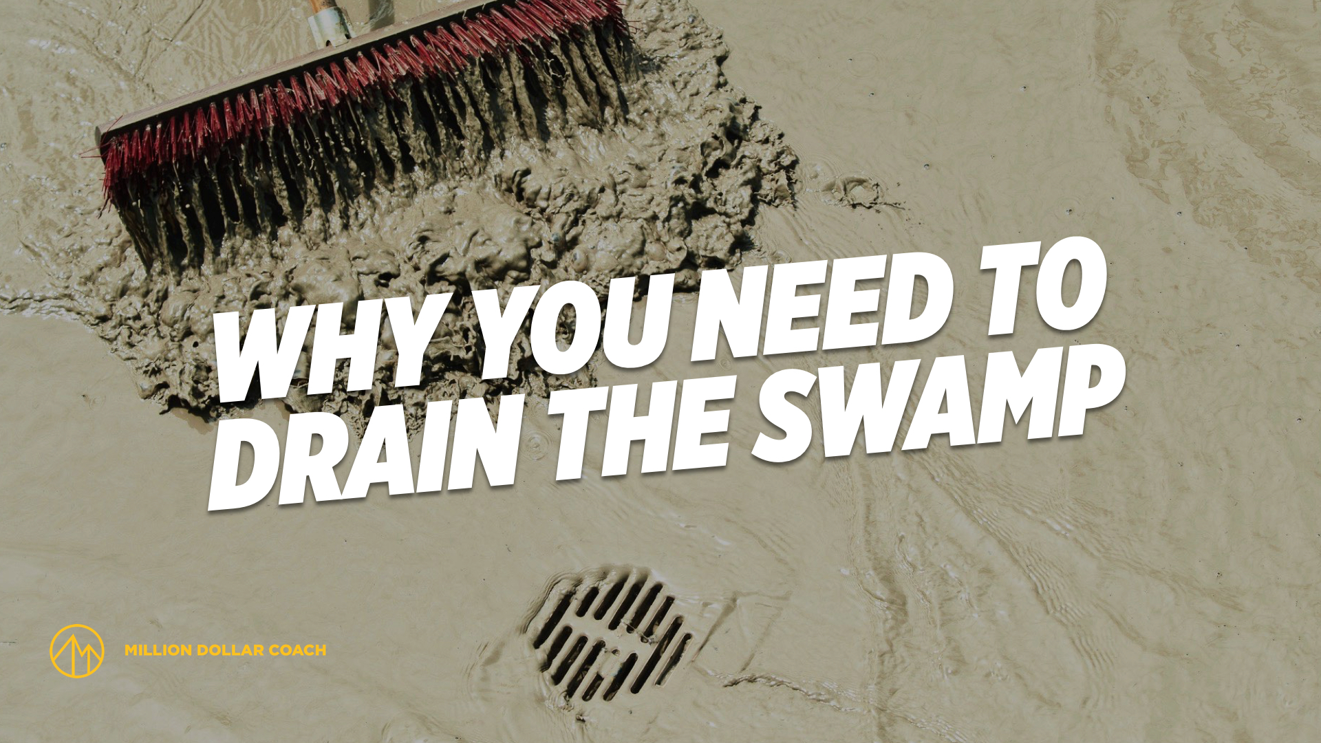 Why You Need to Drain the Swamp Million Dollar Coach
